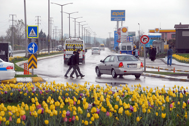 Sakarya'da Lale Devri