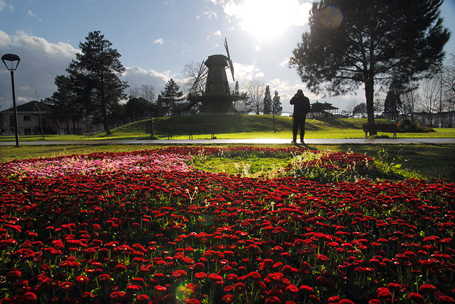 Sakarya'da Lale Devri