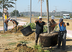 Çark Deresi Kenarı Hayat Buluyor