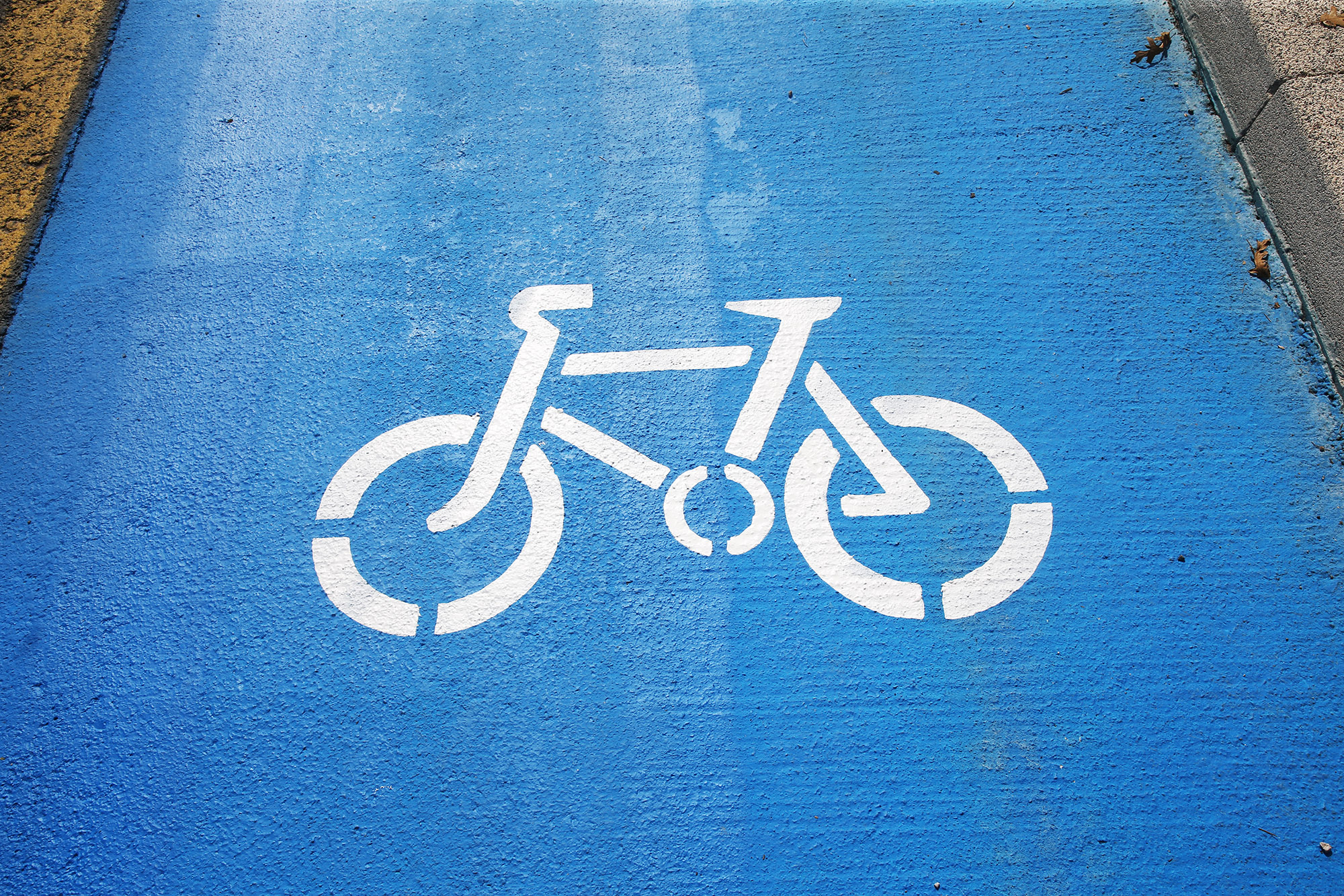 Sakarya’nın ‘mavi yollarına’ Büyükşehir dokunuşu