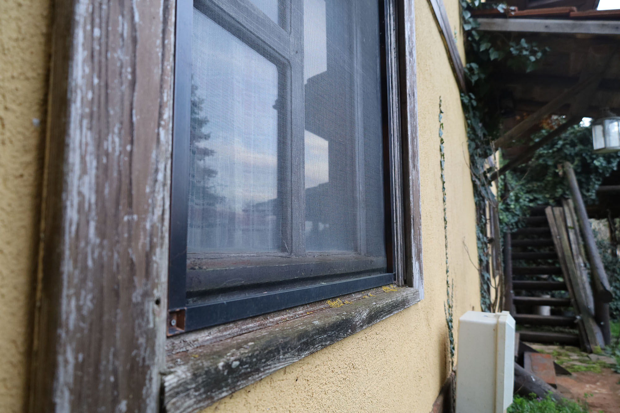 Evi görünce terk etmeyi düşündü: Binlerce kokarcanın istila kabusunu TUTSAK bitirdi