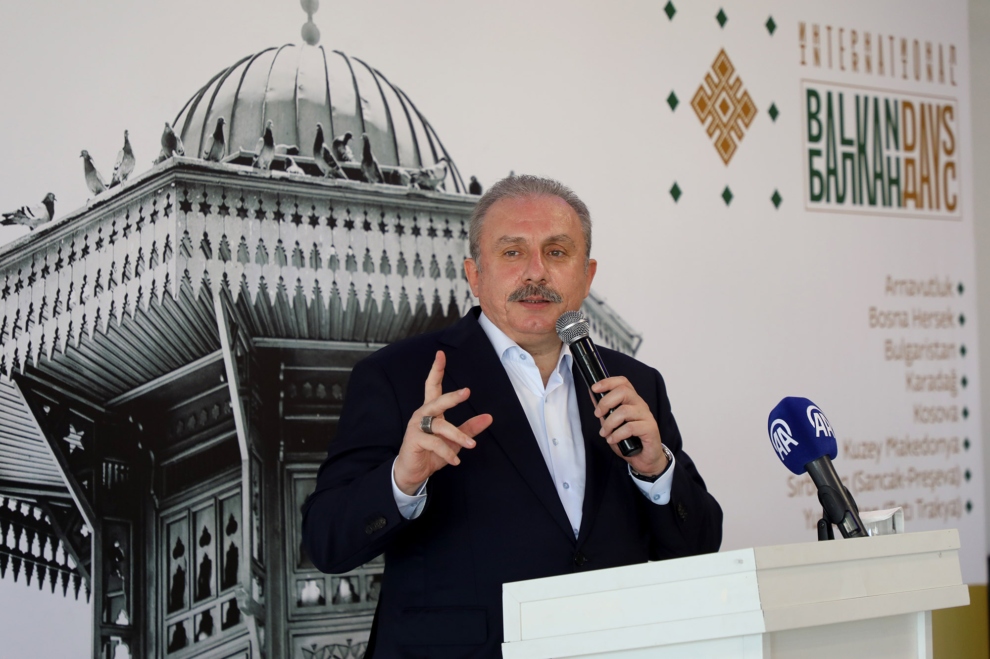  Sakarya Balkan coğrafyasına kucak açtı: “Sizin büyük ülkeniz Türkiye Cumhuriyeti’dir”