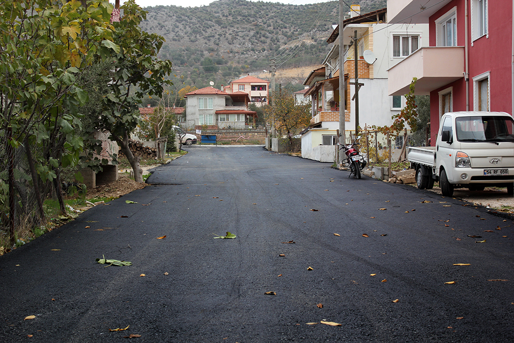 Yeni bir Pamukova doğdu