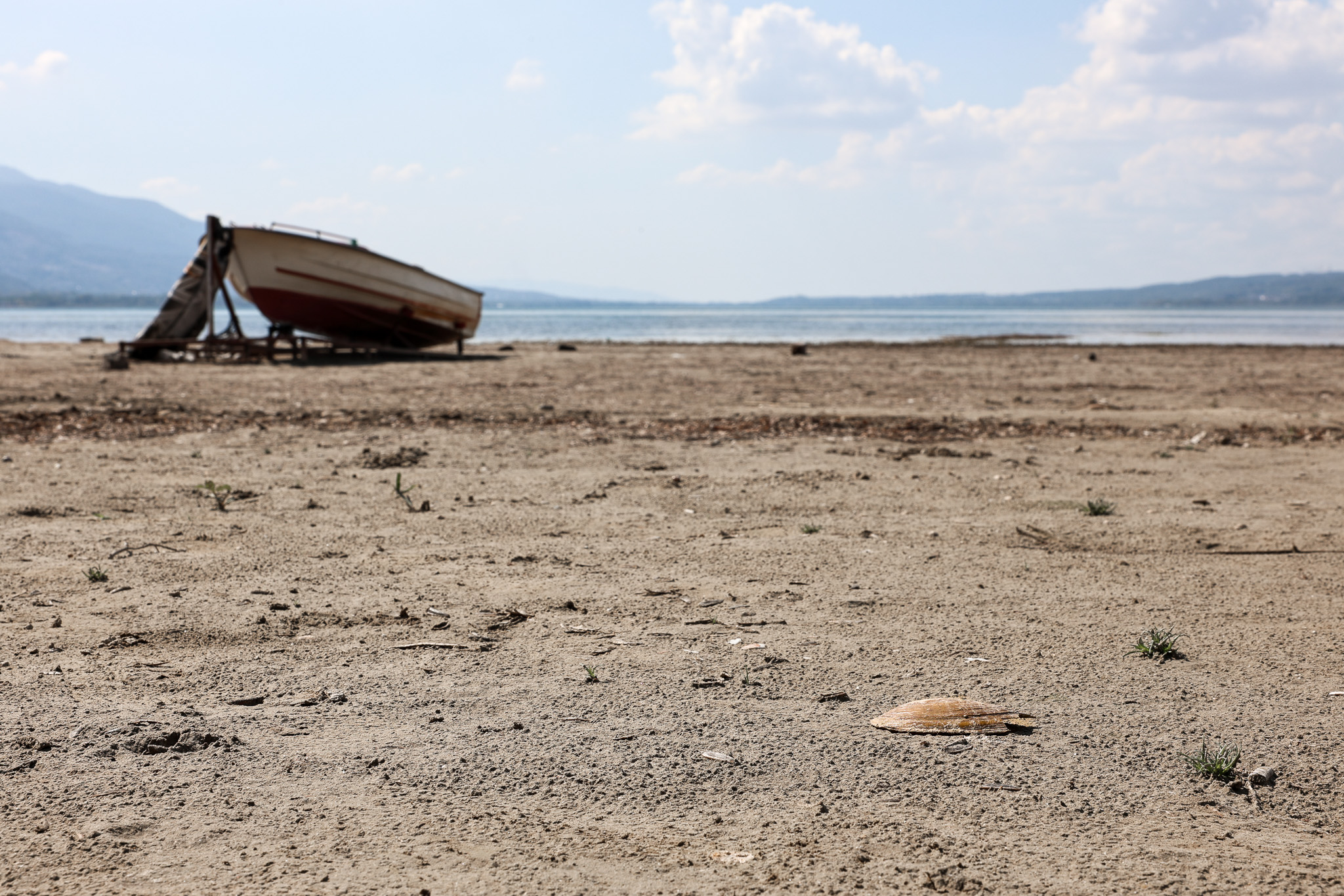 Sapanca Gölü çevresinden 2 ton çöp toplandı