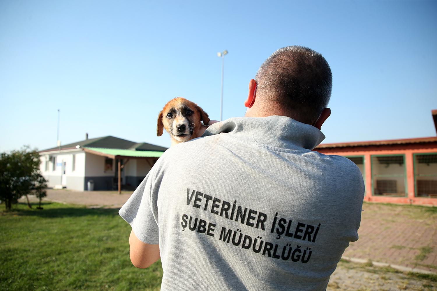 Can dostlarımız sahiplerini bekliyor