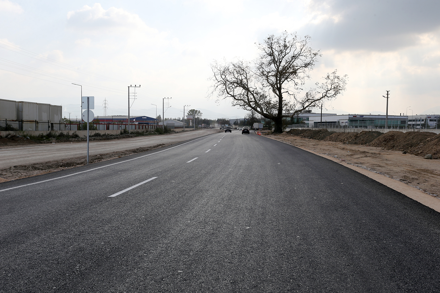 Duble yol güzergahı Çınar Ağacı için değişti