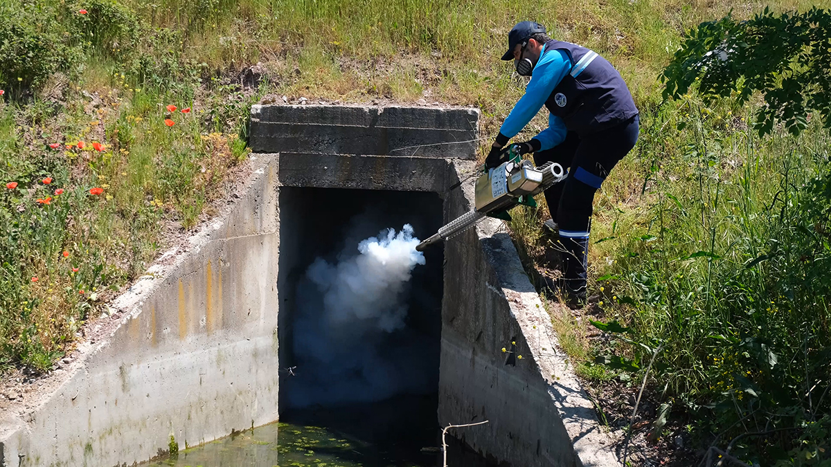 Vektörlerle mücadele ve ilaçlama aralıksız sürüyor