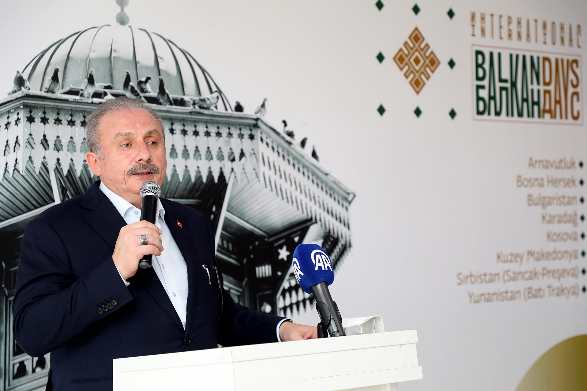  Sakarya Balkan coğrafyasına kucak açtı: “Sizin büyük ülkeniz Türkiye Cumhuriyeti’dir”