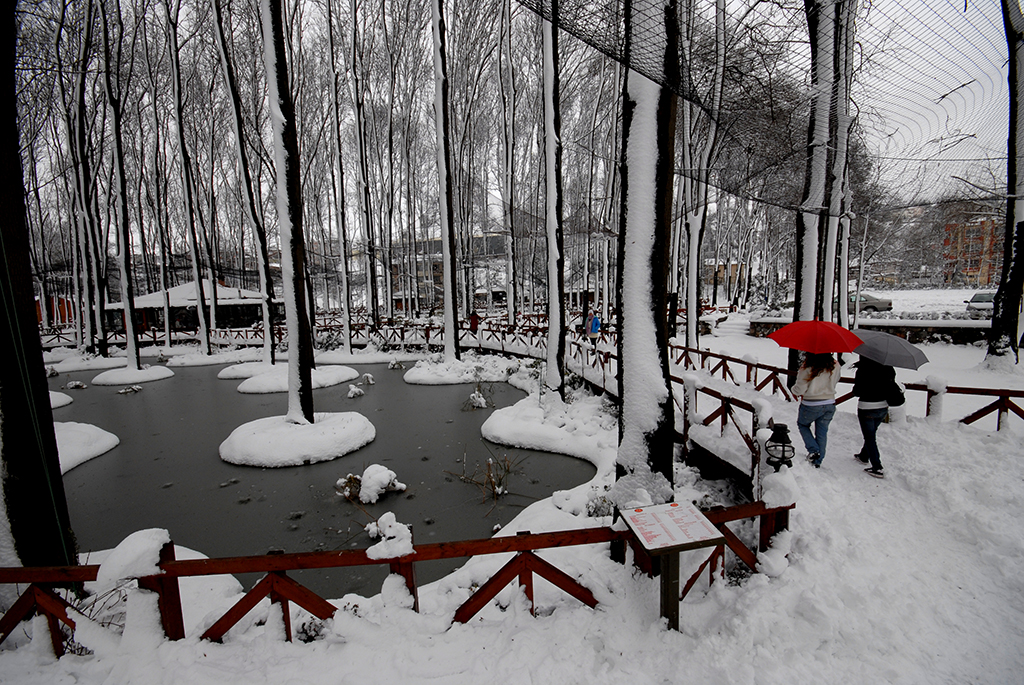 4 mevsim orman keyfi burada