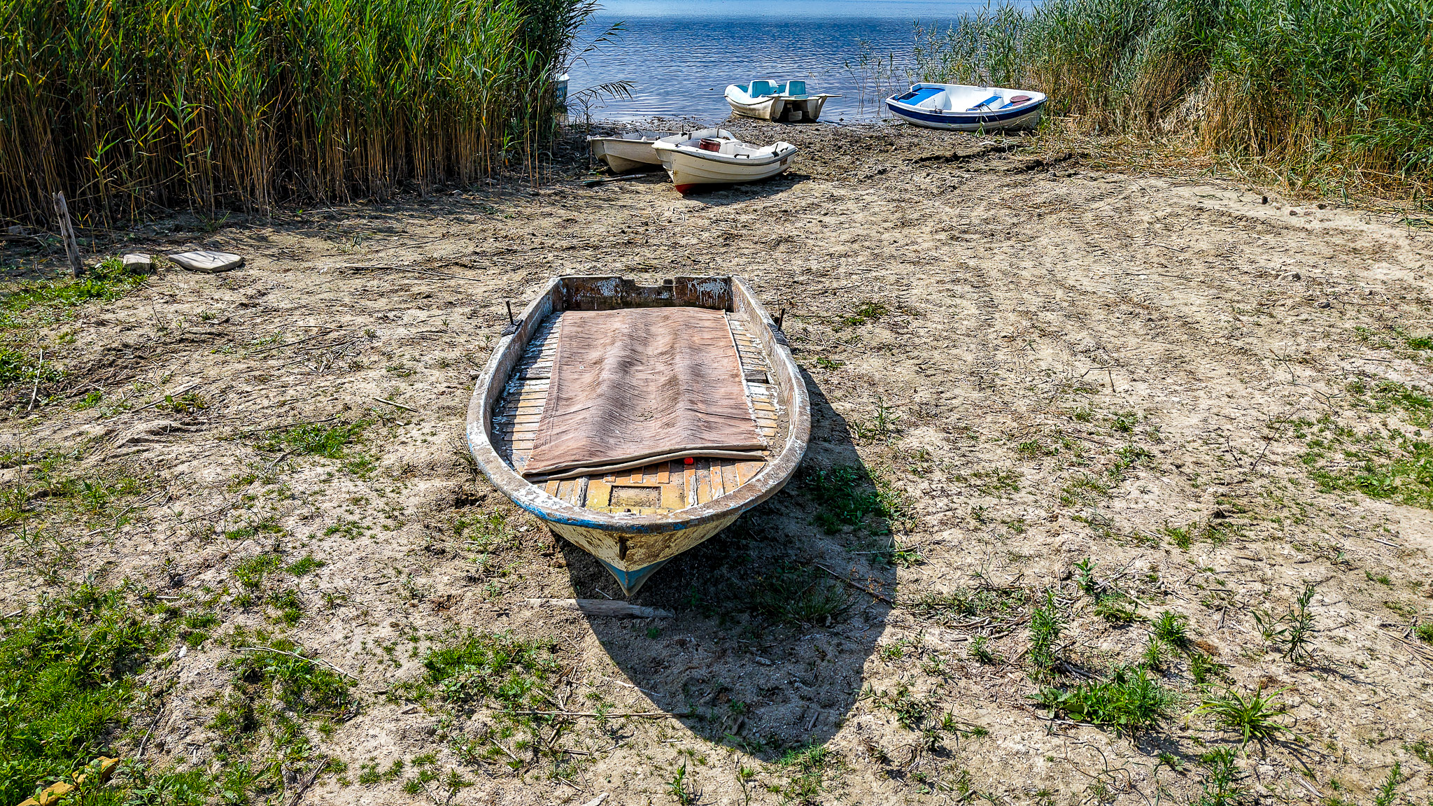 Sapanca Gölü’nün geleceği için kritik çalıştay tamamlandı: 112 eylem planı belirlendi