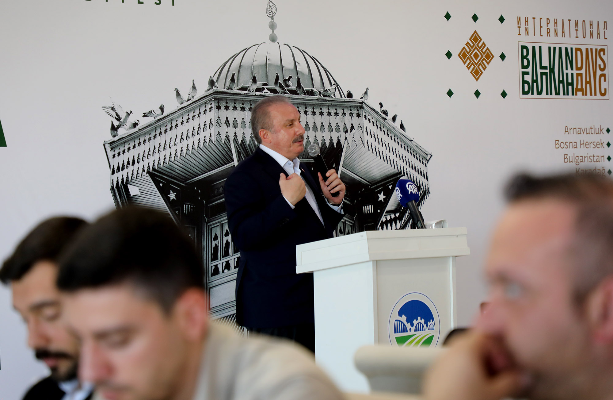  Sakarya Balkan coğrafyasına kucak açtı: “Sizin büyük ülkeniz Türkiye Cumhuriyeti’dir”