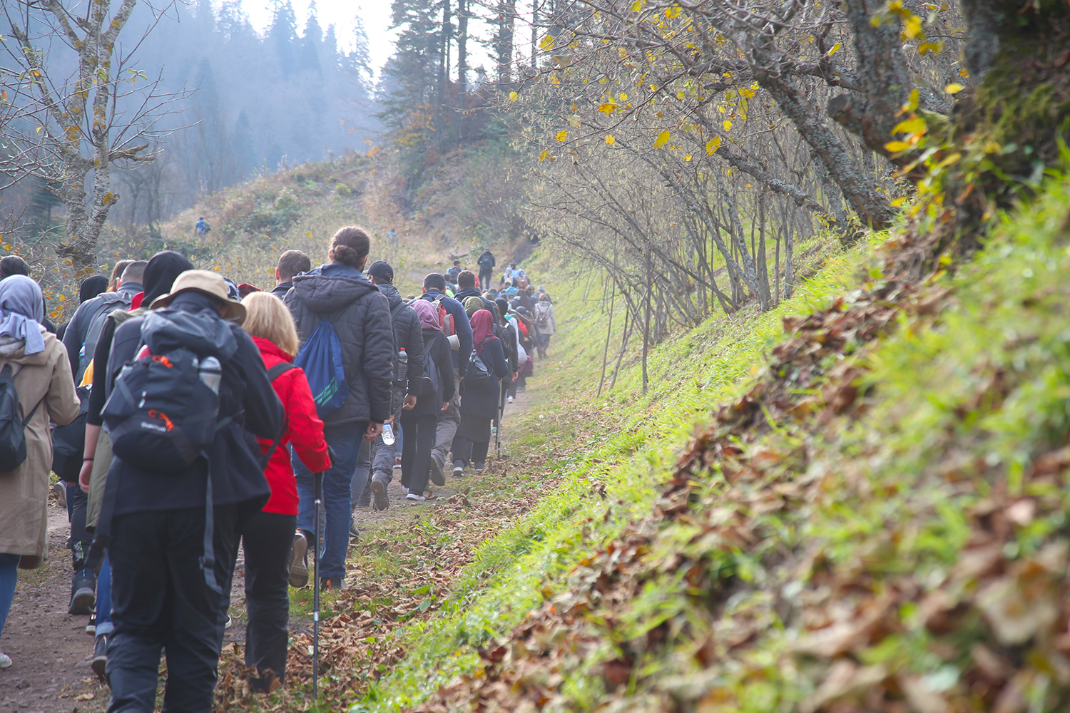 Sonbahar Doğa Yürüyüşleri sona erdi