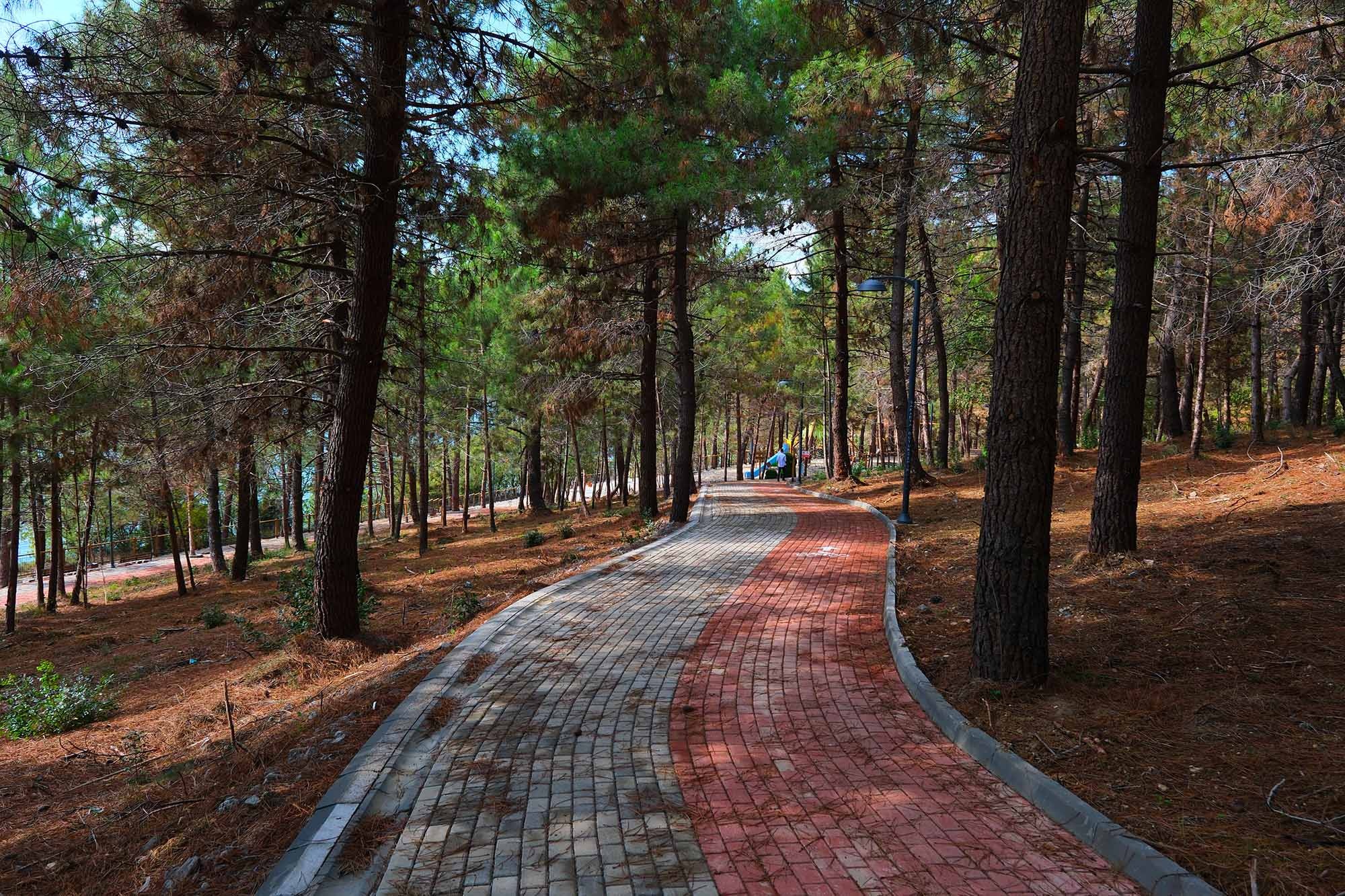 Şehirde bir ilk: Sakaryalılar baharı ‘Huzur Koridoru’nda koşarak karşılayacak