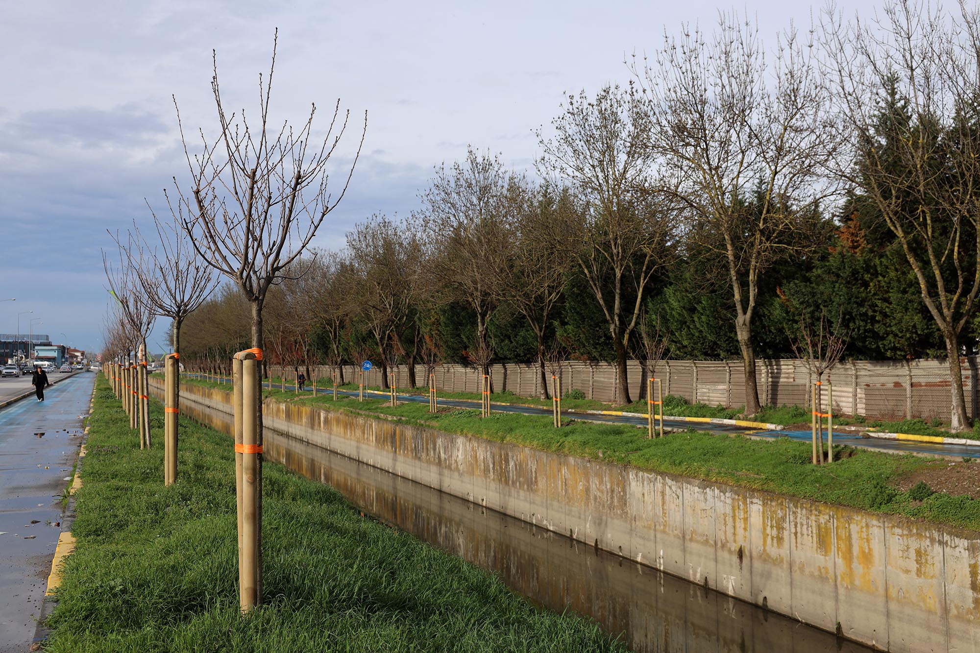 Büyükşehir’in ‘Yeşil Şehir’ vizyonu sahada: 3 ayda 2 bin 500 ağaç toprakla buluştu