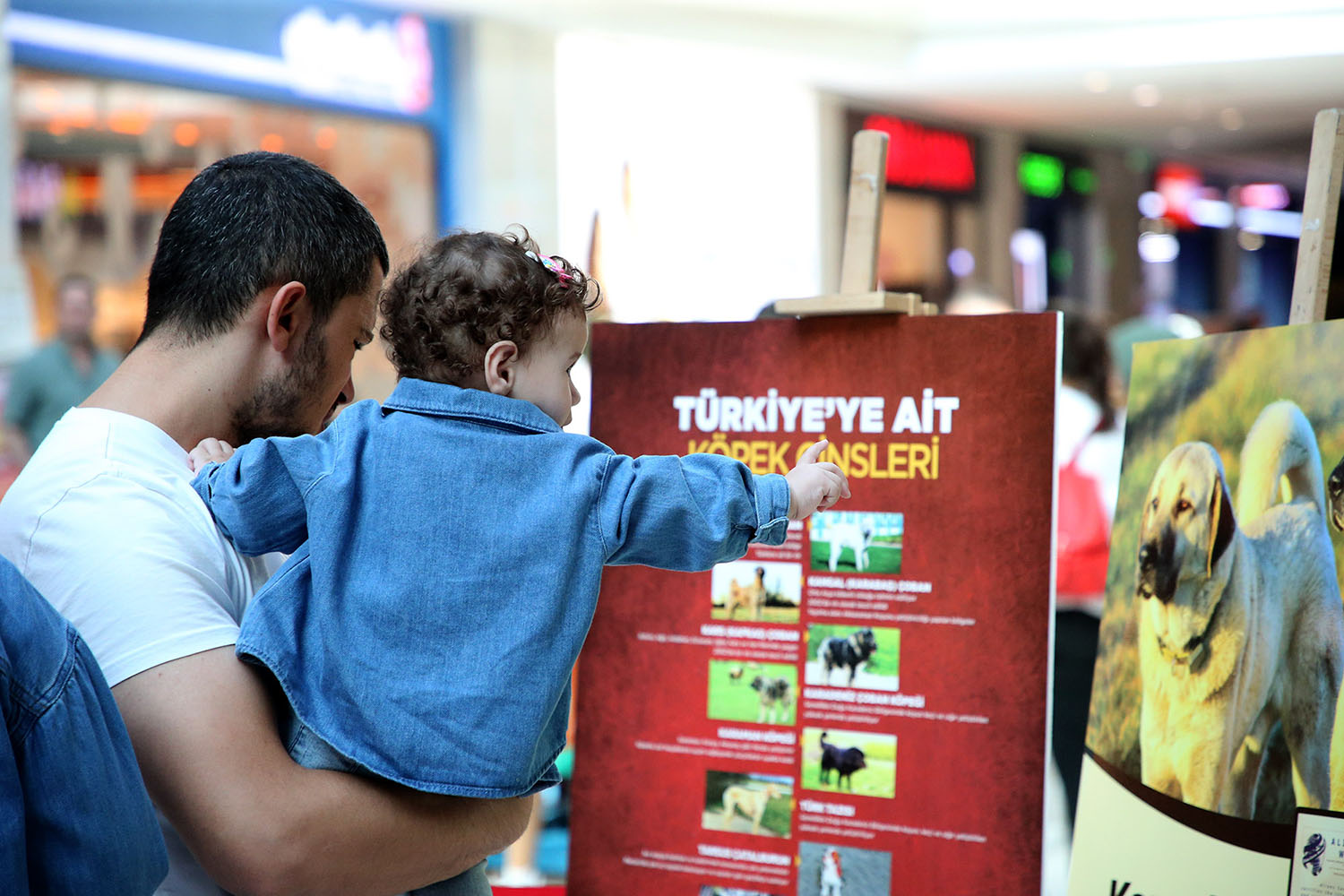 Büyükşehir ekipleri çocuklarla buluştu Pati Festivali renkli görüntülere sahne oldu