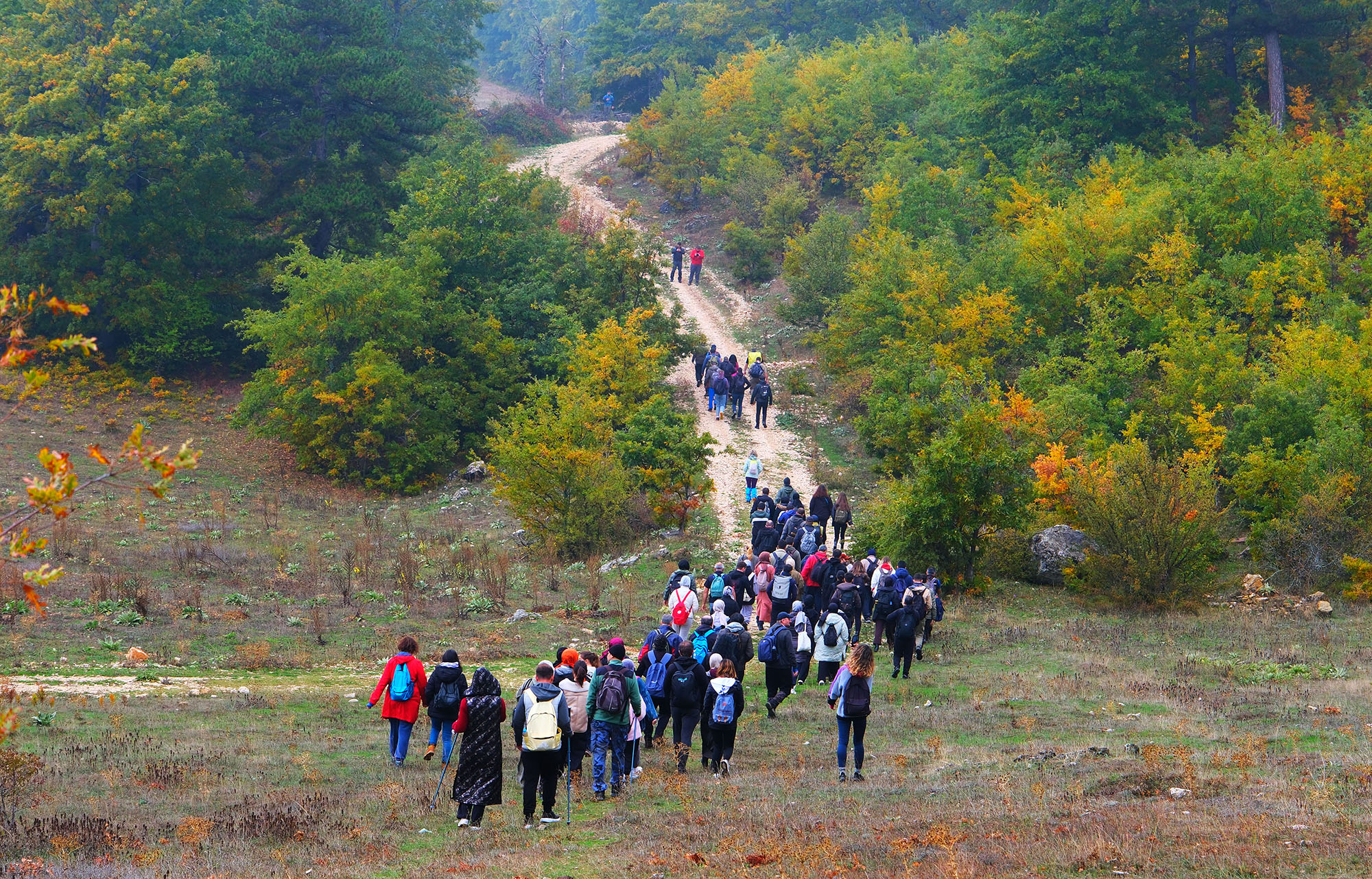 Sakarya’da doğa tutkunlarının beklediği takvim geldi: Baharı muhteşem manzarayla karşılayacaklar…