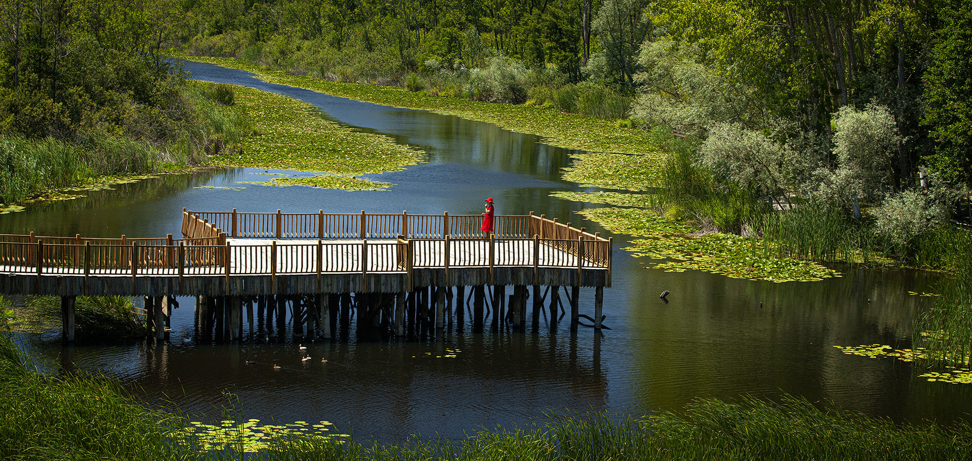 Yusuf Alemdar Kültür Yolu Festivali’nin Sakarya takvimini paylaştı