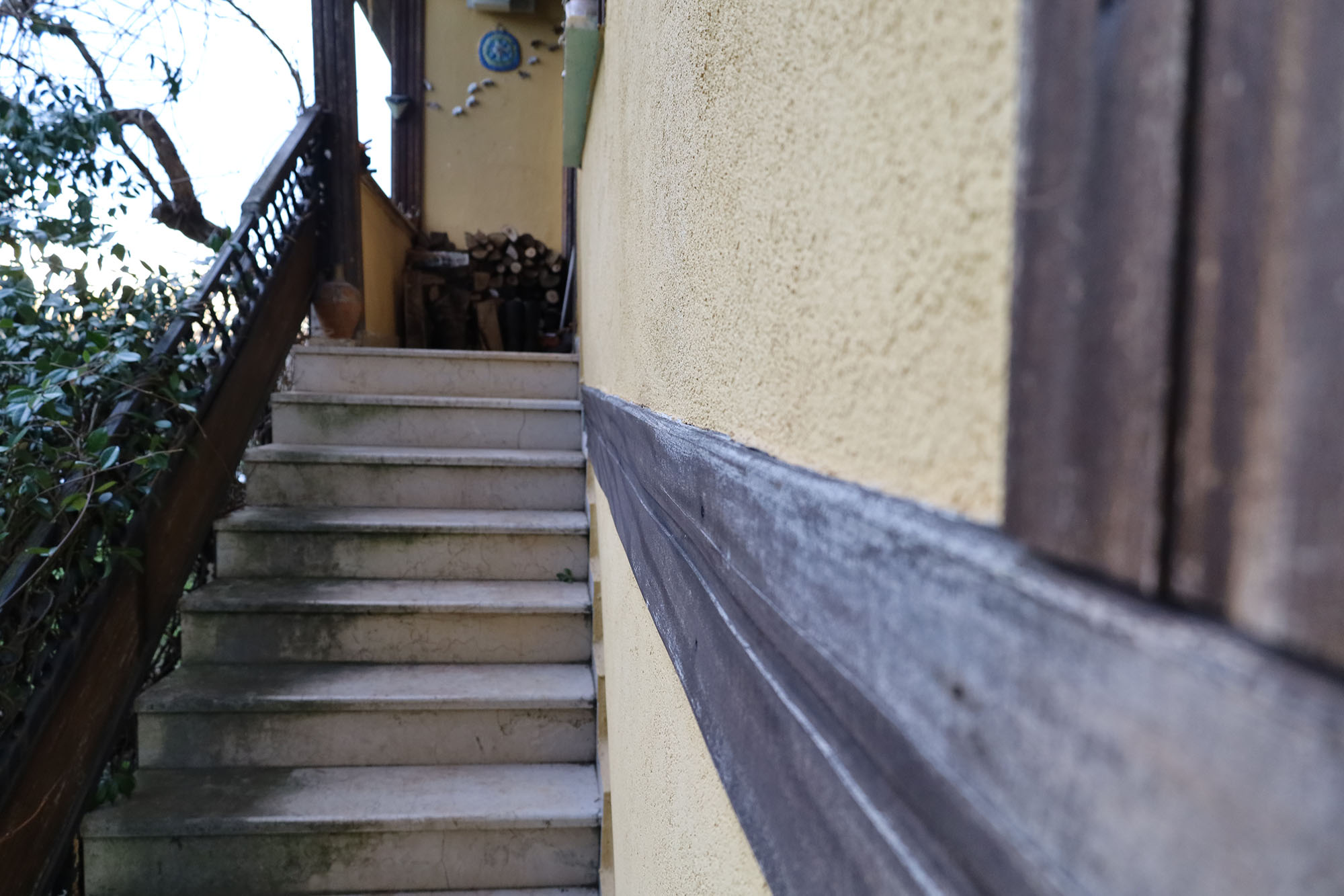 Evi görünce terk etmeyi düşündü: Binlerce kokarcanın istila kabusunu TUTSAK bitirdi