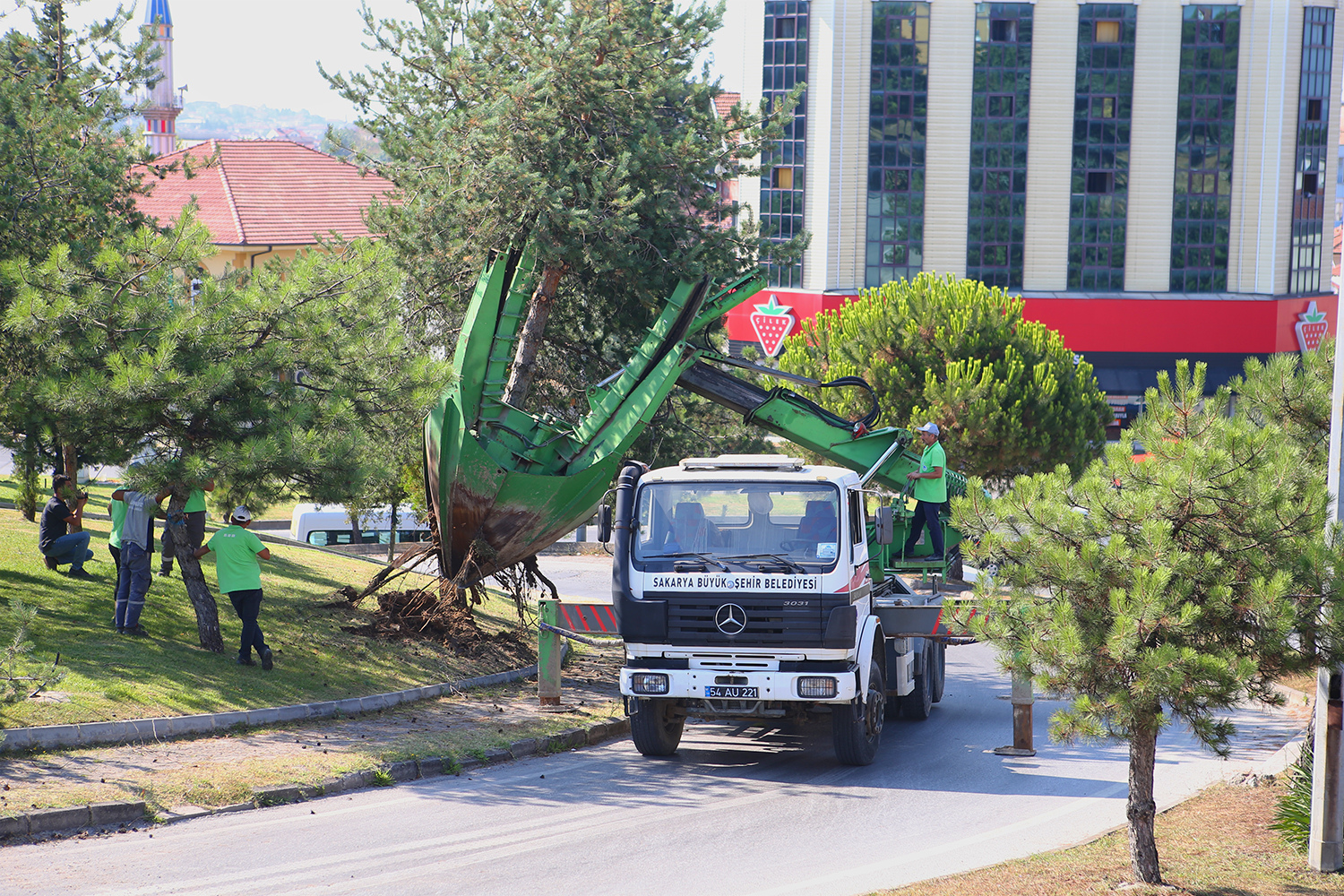 Büyükşehir o proje sahasındaki ağaçları koruma altına alıyor