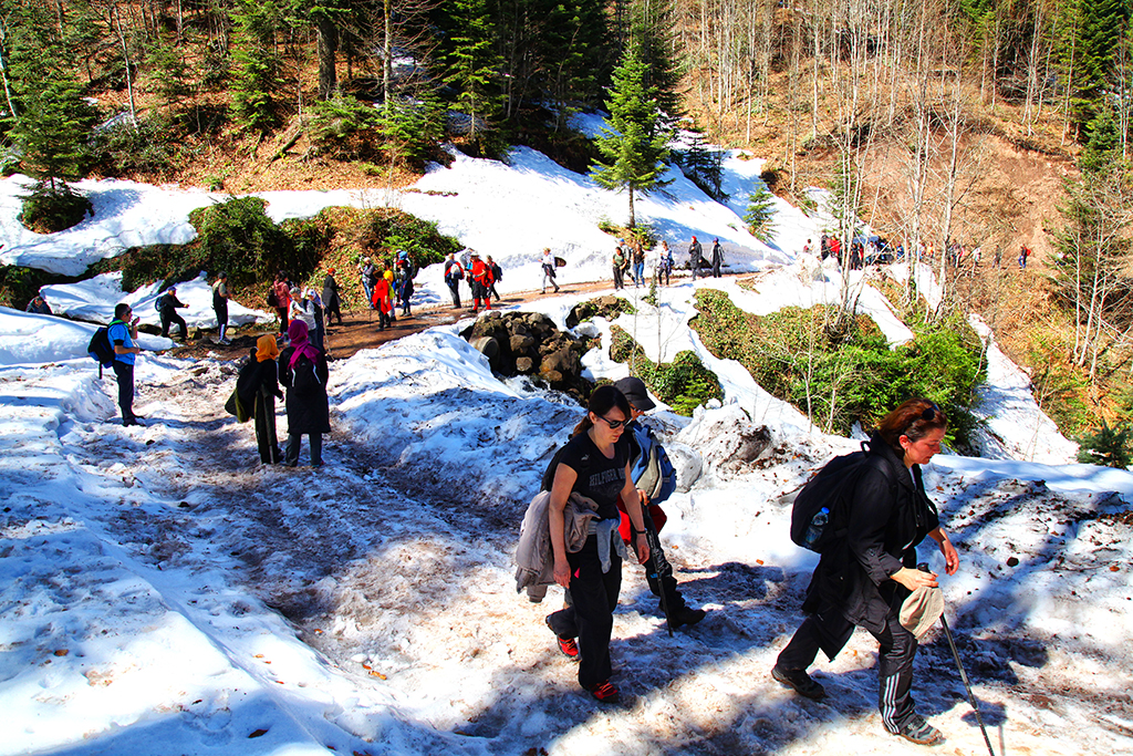 Doğaseverler Büyükyayla’daydı