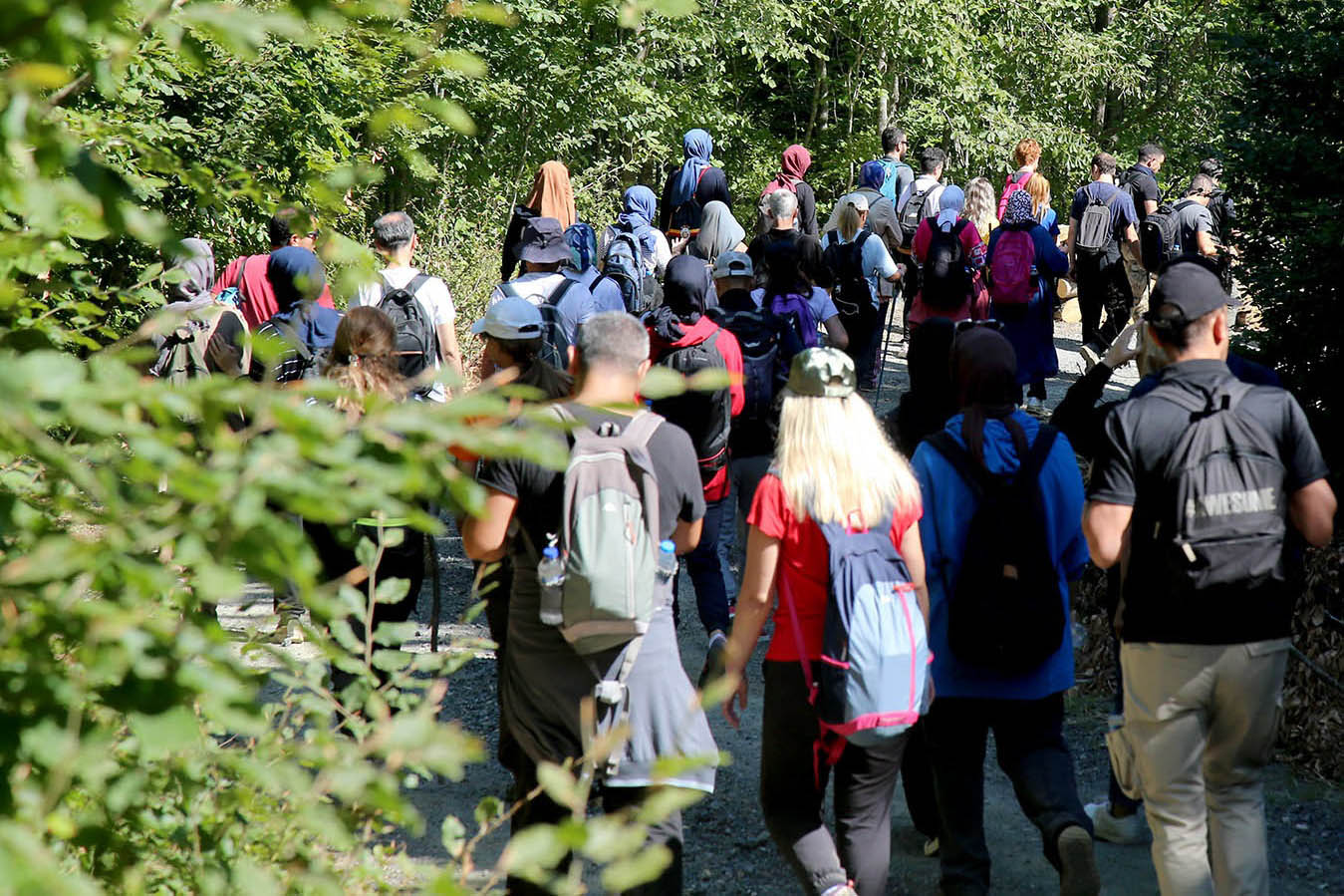 İnönü ve Ercova yaylaları tüm güzelliğiyle doğaseverleri ağırladı