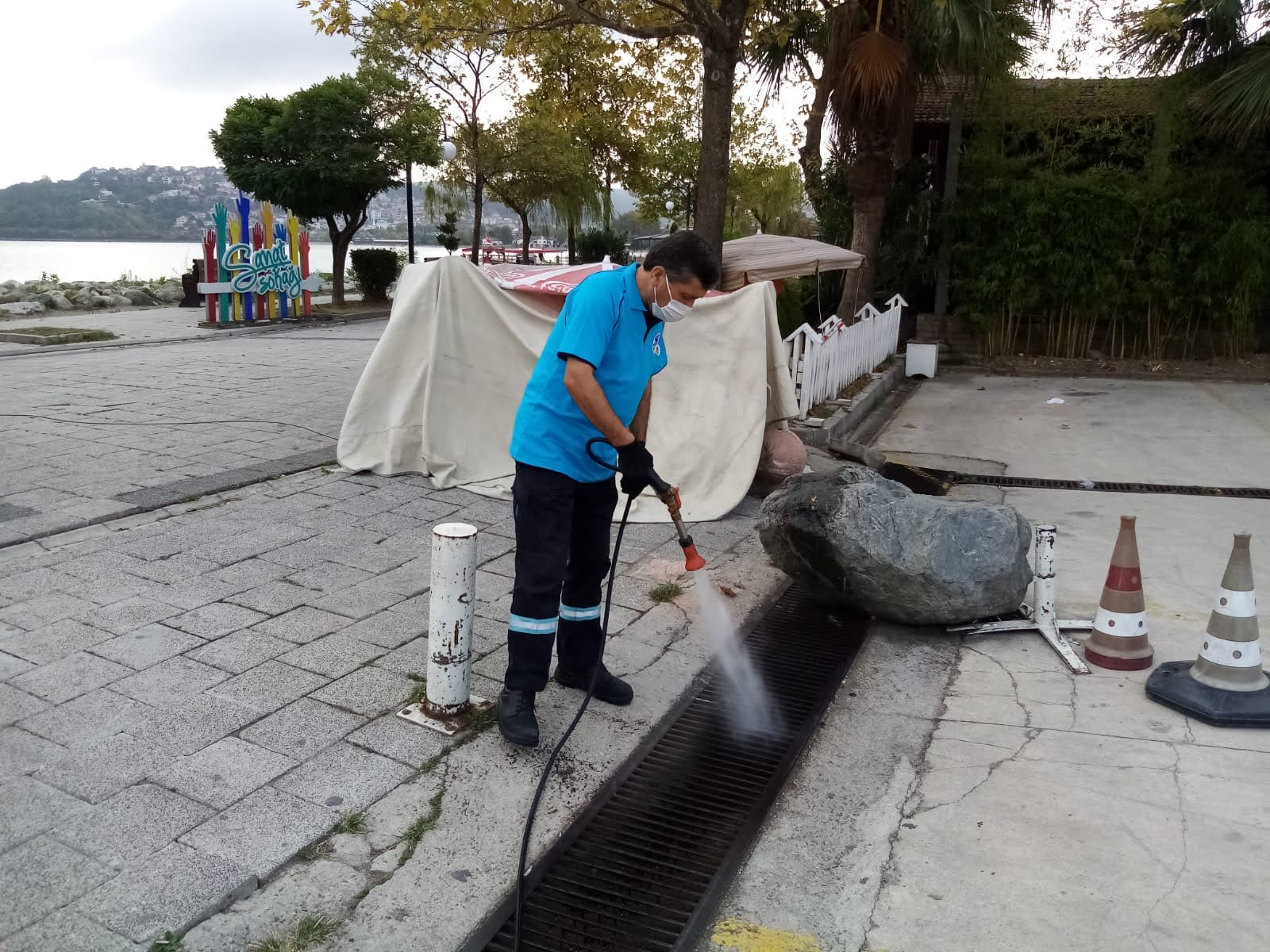 Sapanca’da Asya Kaplan Sivrisineğine karşı mücadele