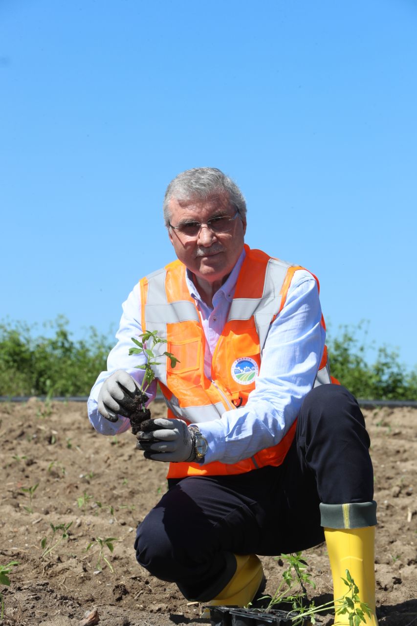 Ata Tohumları toprakla buluşturuldu