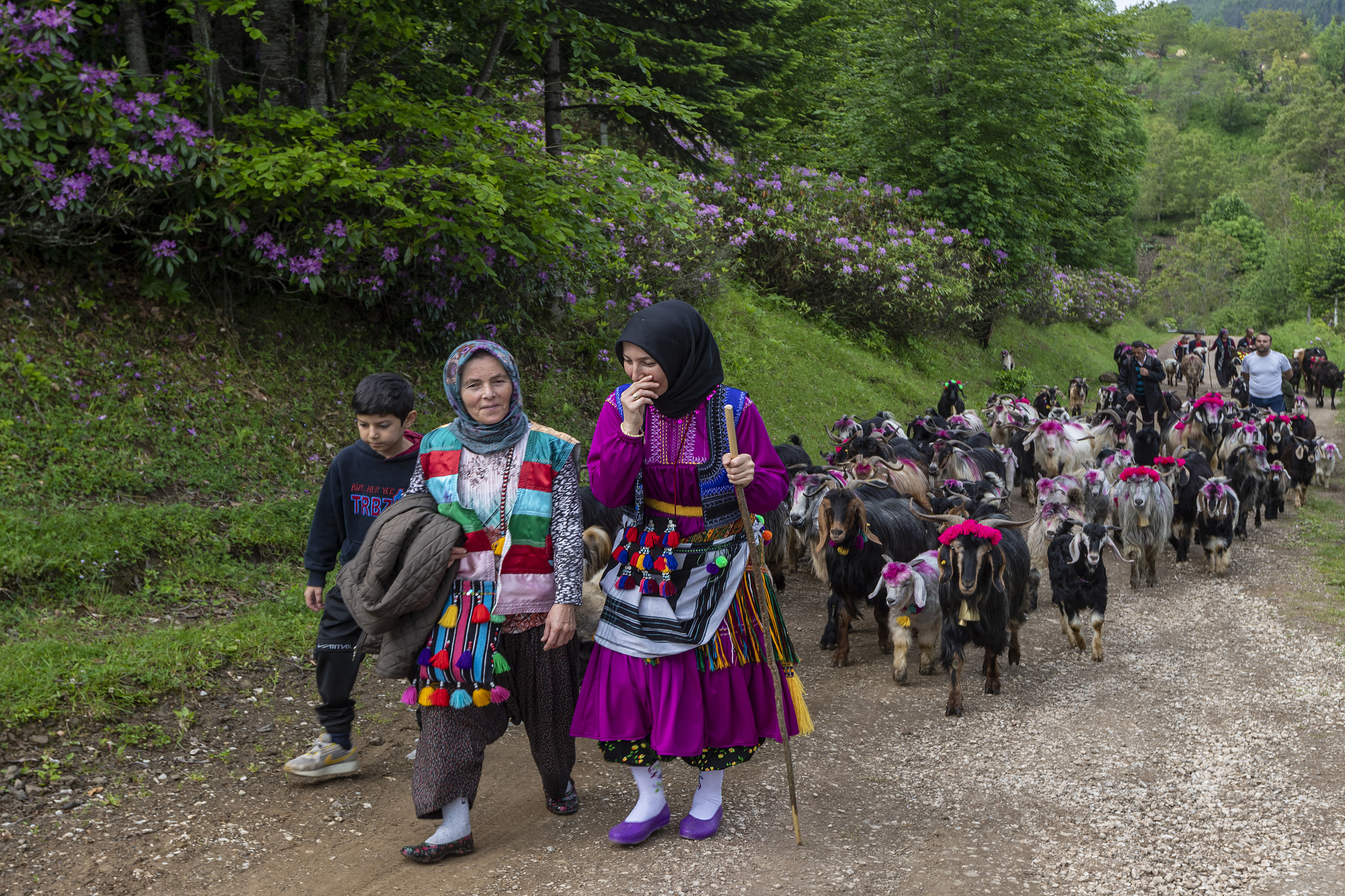 Şehrin tarihi, doğası ve kültürü kadrajlara böyle yansıdı