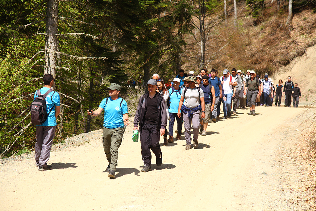 Pamukova ve Sapanca’da doğa ile iç içe yürüyüş