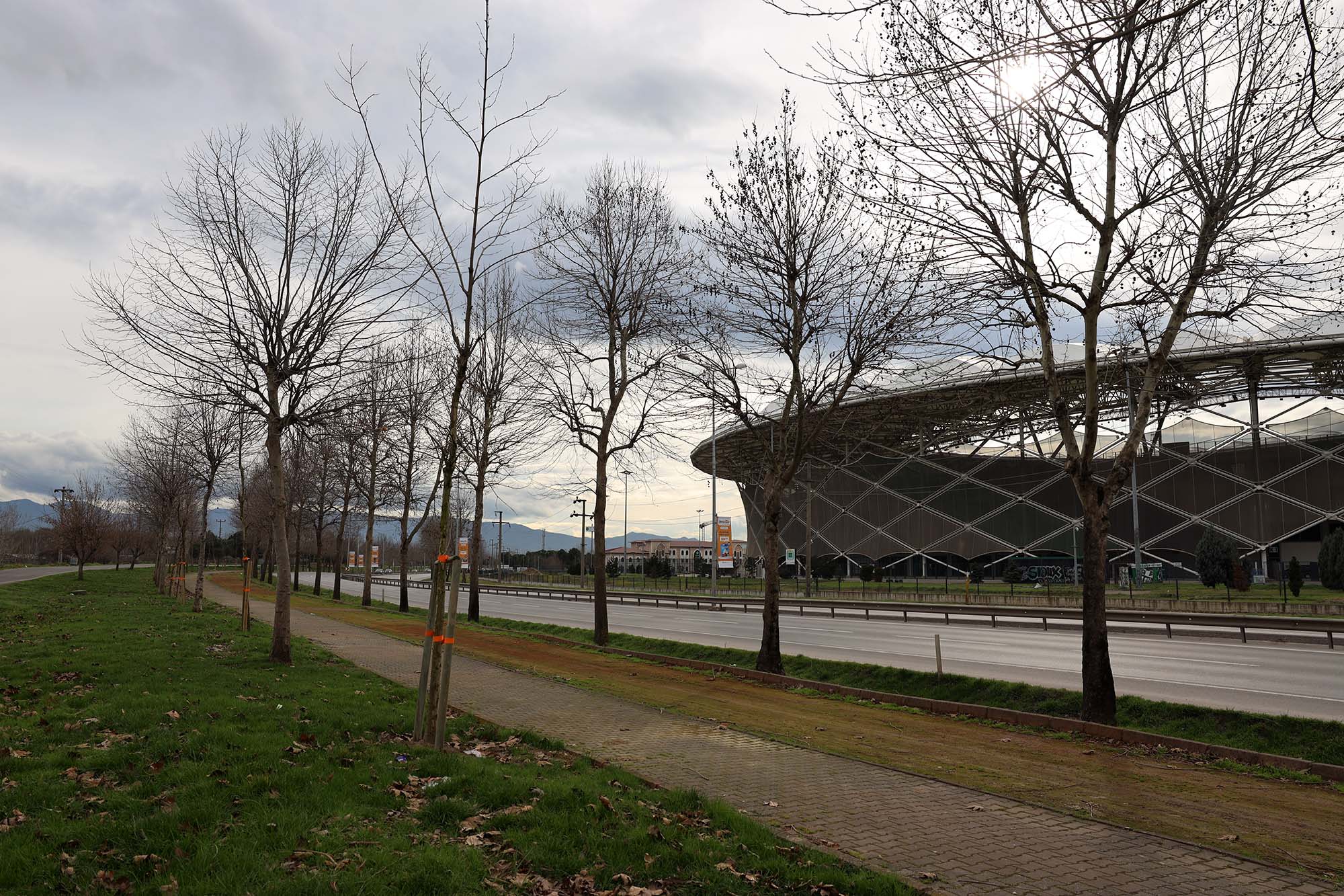 Büyükşehir’in ‘Yeşil Şehir’ vizyonu sahada: 3 ayda 2 bin 500 ağaç toprakla buluştu