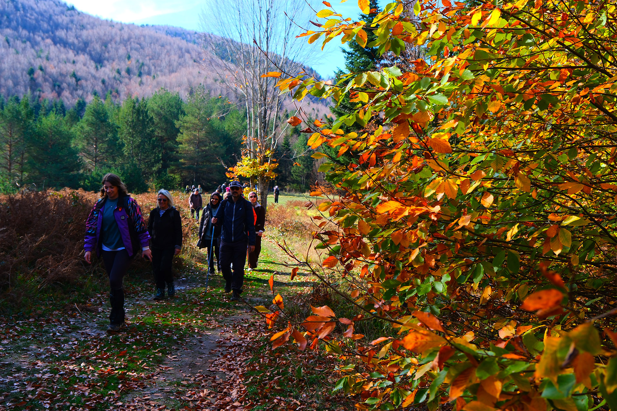 Sonbaharın büyüleyici renkleri arasında 14 kilometrelik unutulmaz rota