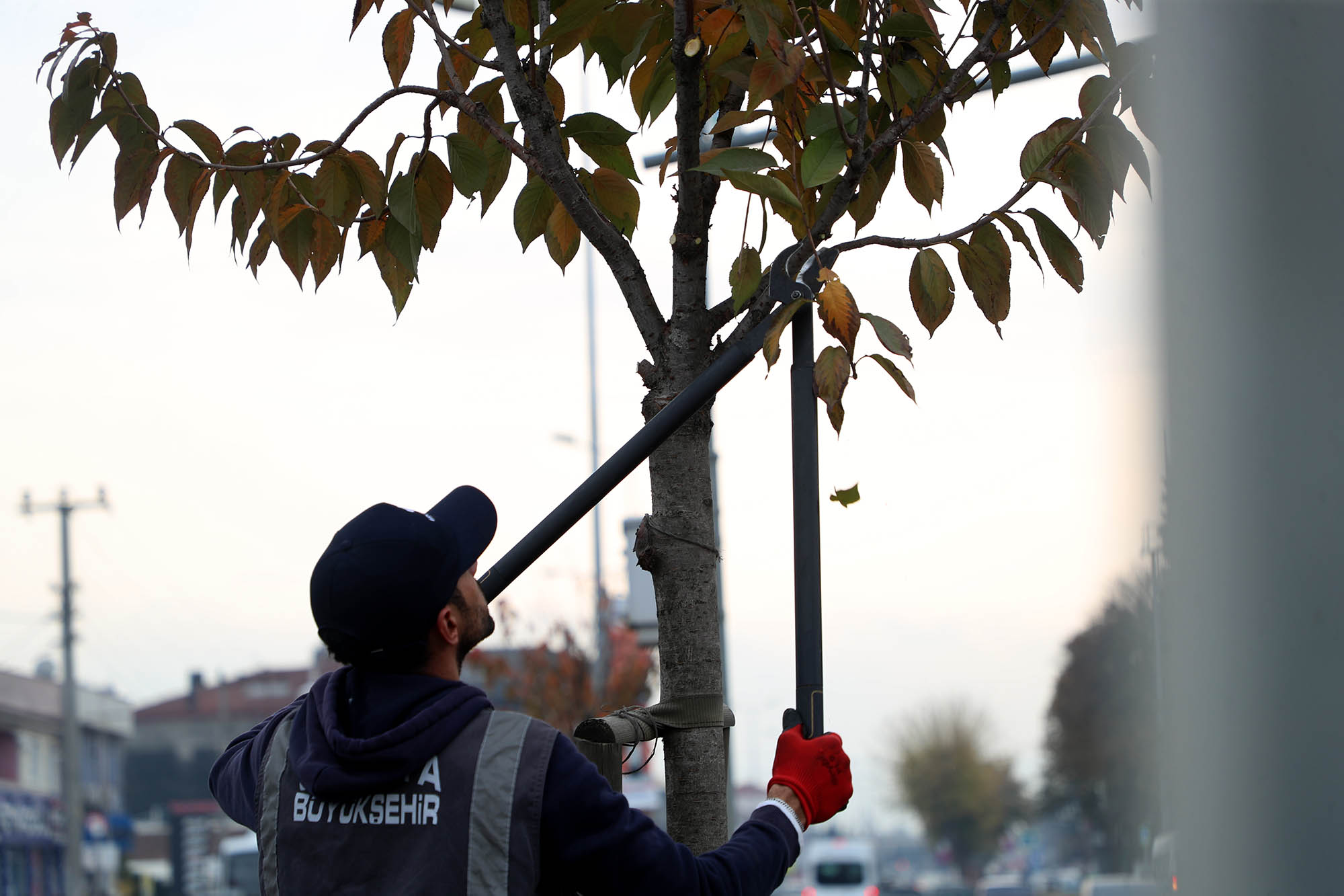 Sakarya’nın yeni yeşil ve yaşam alanları her geçen gün artıyor