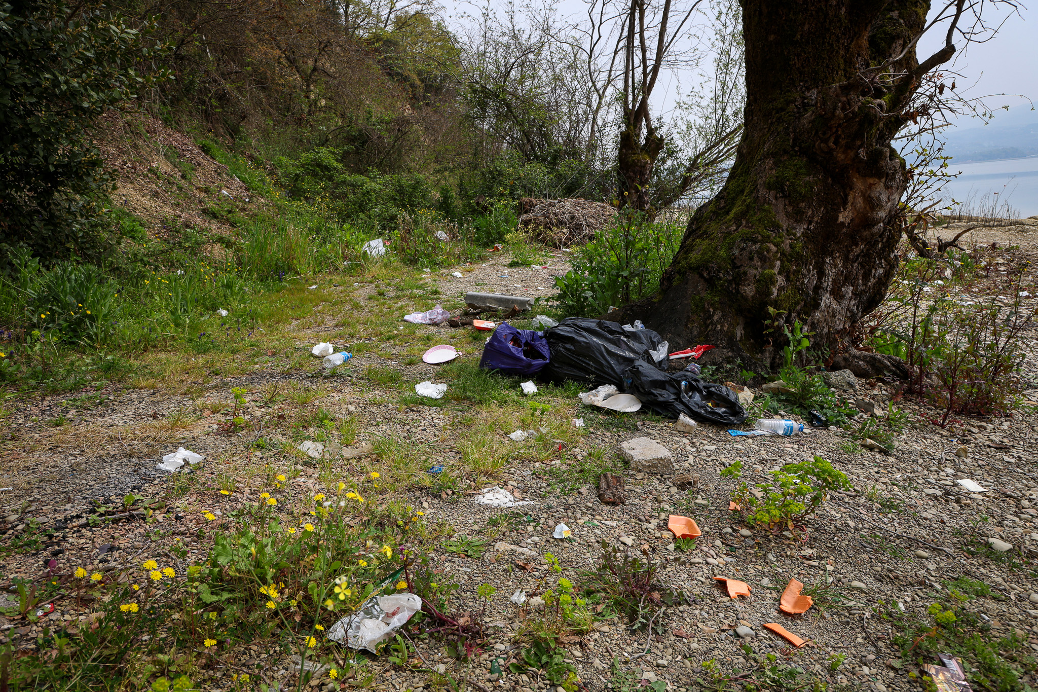 Sapanca Gölü’nün her bir karışı Büyükşehir’in takibinde: Tonlarca atık topladılar…