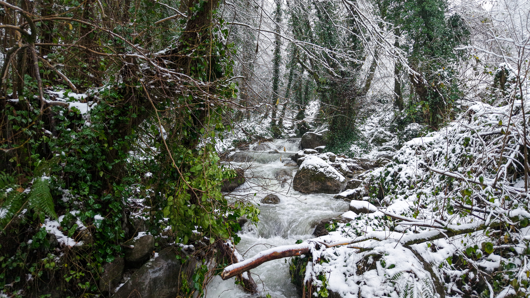 Beyaz örtü Sapanca Gölü’nü besleyen derelere can oldu