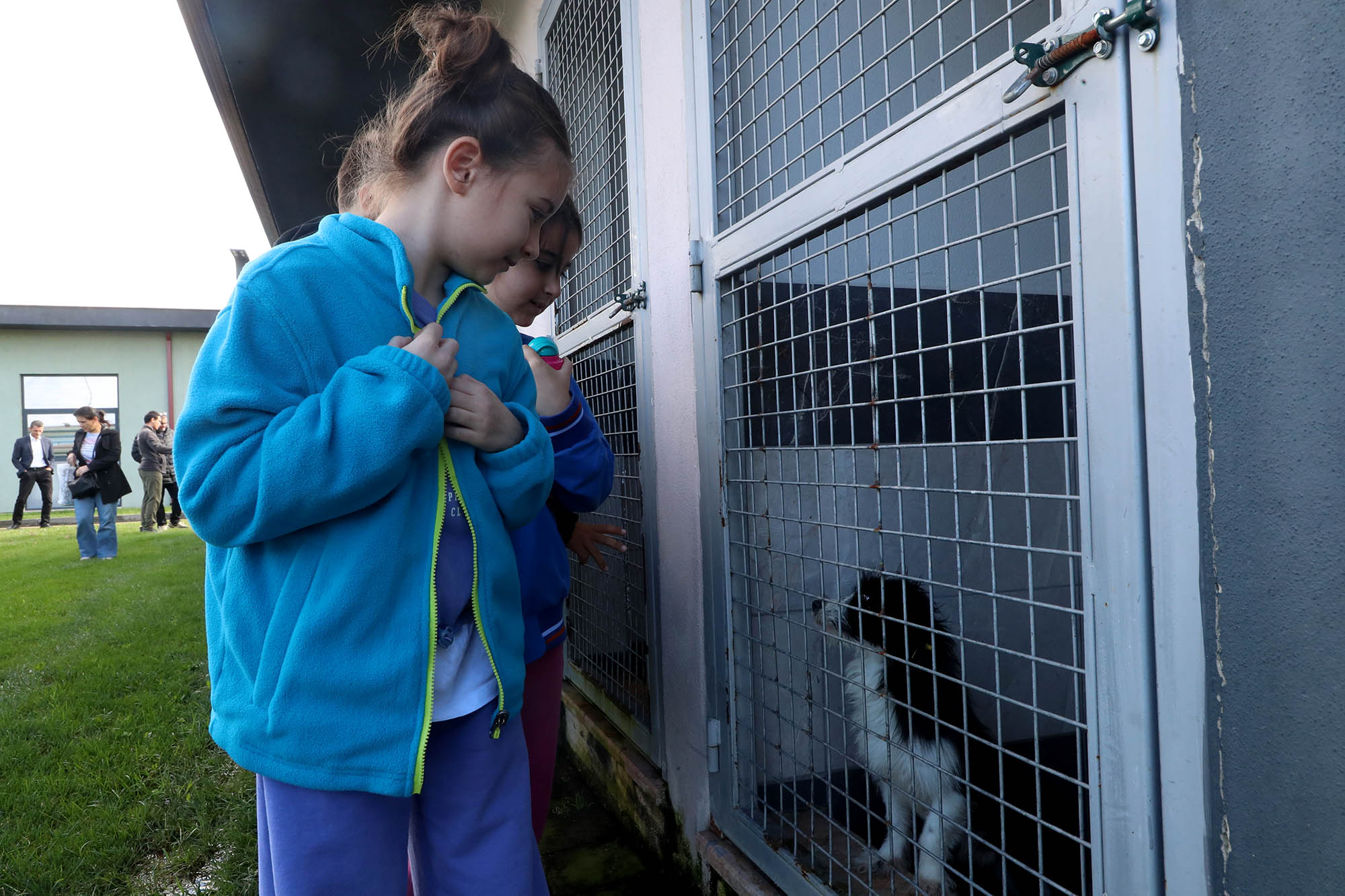 Büyükşehirle unutulmaz bir gün: Can dostların yaşam serüveni, bir yudum suyun önemi ve maceraya yolculuk