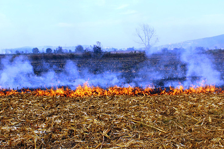 Anız yangınları toprak verimliliğini düşürür