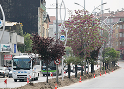 Orhangazi Caddesi Yenileniyor