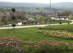 Korucuk'a Bahar Geldi