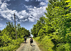 Doğa Yürüyüşleri Sona Erdi