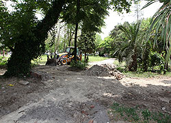 Şemsiyeli Park'ta Çalışma Başladı