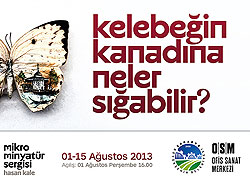 İncir Çekirdeğini Dolduran Sergi OSM'de