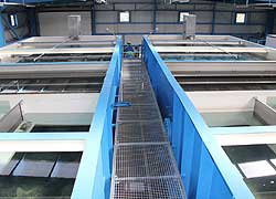 Sapanca'ya Uzun Yıllar Birinci Sınıf Su 