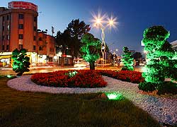 Yeşile Değer Veren Şehir, Sakarya