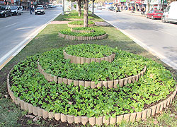 Her Mevsim Daha Güzel Sakarya