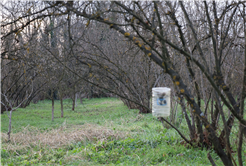 Evi görünce terk etmeyi düşündü: Binlerce kokarcanın istila kabusunu TUTSAK bitirdi