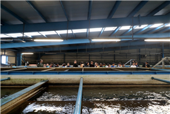 Büyükşehirle unutulmaz bir gün: Can dostların yaşam serüveni, bir yudum suyun önemi ve maceraya yolculuk