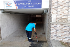Sapanca’da Asya Kaplan Sivrisineğine karşı mücadele