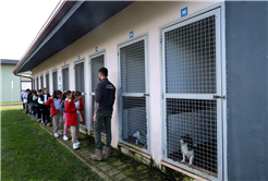 Büyükşehirle unutulmaz bir gün: Can dostların yaşam serüveni, bir yudum suyun önemi ve maceraya yolculuk