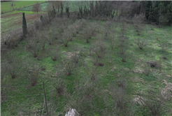 Evi görünce terk etmeyi düşündü: Binlerce kokarcanın istila kabusunu TUTSAK bitirdi
