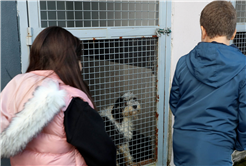 Büyükşehirle unutulmaz bir gün: Can dostların yaşam serüveni, bir yudum suyun önemi ve maceraya yolculuk